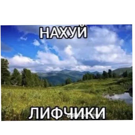 ⛰ Стикер «Лесные летние мемы» для Telegram