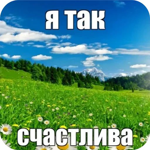 🌸 Стикер «Лесные летние мемы» для Telegram