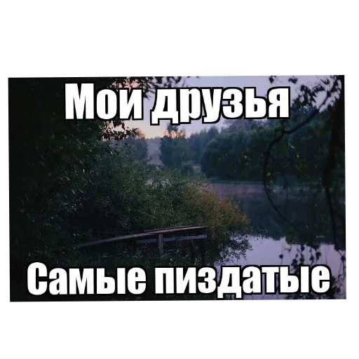 🖼 Стикер «Лесные летние мемы» для Telegram