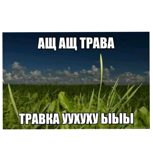 🏞 Стикер «Лесные летние мемы» для Telegram