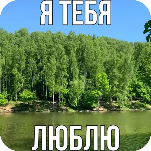 🏞 Стикер «Лесные летние мемы» для Telegram