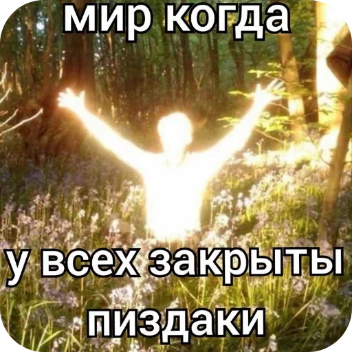🖼 Стикер «Лесные летние мемы» для Telegram