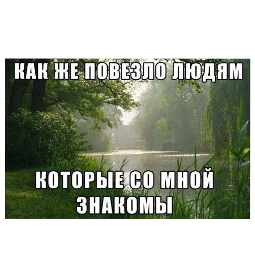 🖼 Стикер «Лесные летние мемы» для Telegram