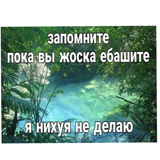 🖼 Стикер «Лесные летние мемы» для Telegram