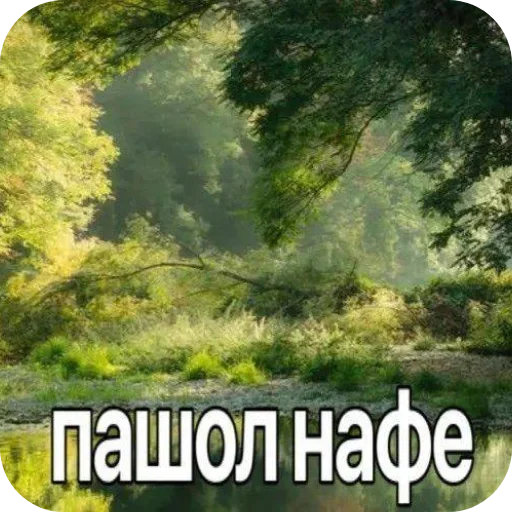 🌲 Стикер «Лесные летние мемы» для Telegram