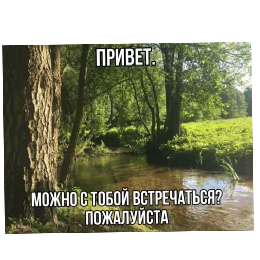 🌲 Стикер «Лесные летние мемы» для Telegram