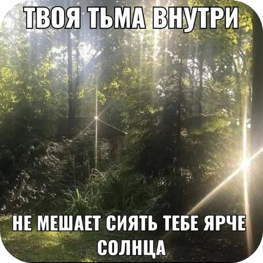 🖼 Стикер «Лесные летние мемы» для Telegram