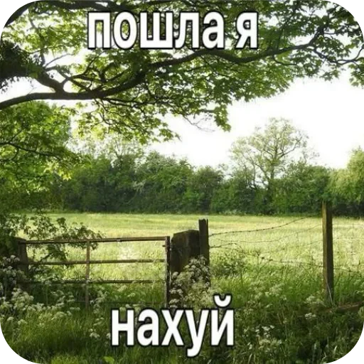 🪴 Стикер «Лесные летние мемы» для Telegram