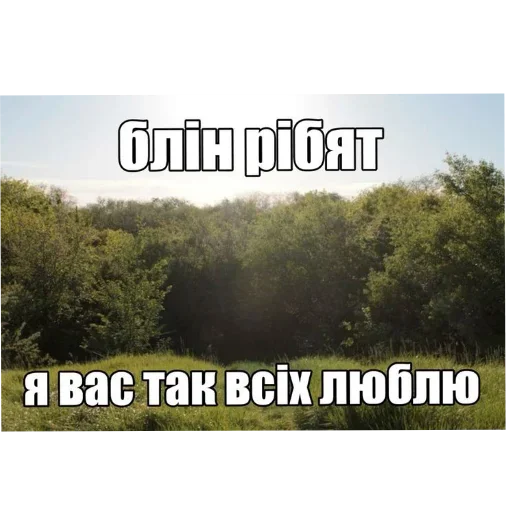 🖼 Стикер «Лесные летние мемы» для Telegram