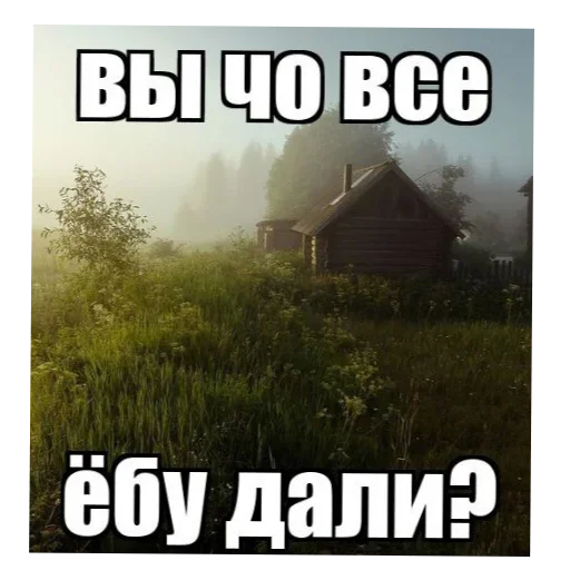 🖼 Стикер «Лесные летние мемы» для Telegram