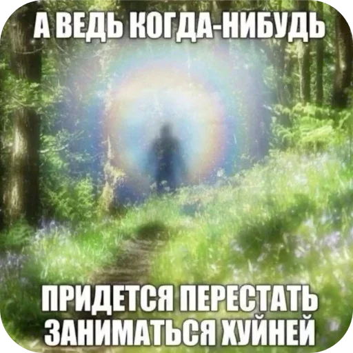 🖼 Стикер «Лесные летние мемы» для Telegram