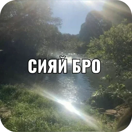 🌌 Стикер «Лесные летние мемы» для Telegram