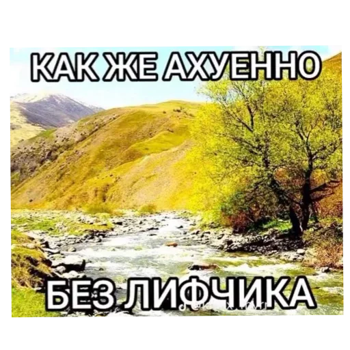 🖼 Стикер «Лесные летние мемы» для Telegram