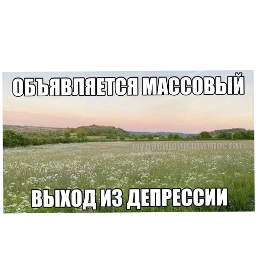 🌾 Стикер «Лесные летние мемы» для Telegram