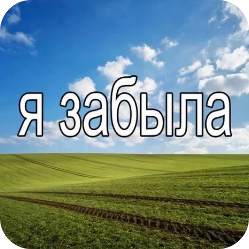 🌌 Стикер «Лесные летние мемы» для Telegram