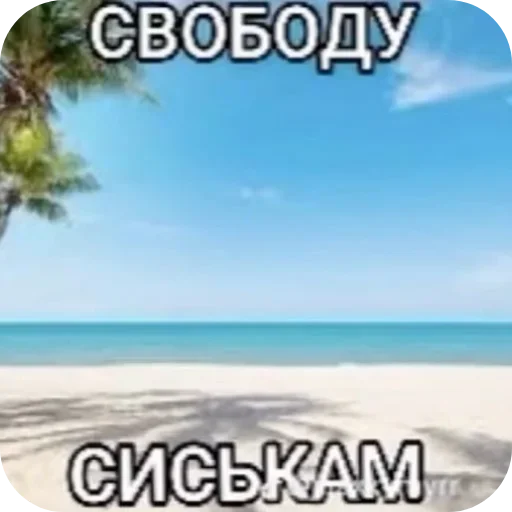 🏖 Стикер «Лесные летние мемы» для Telegram