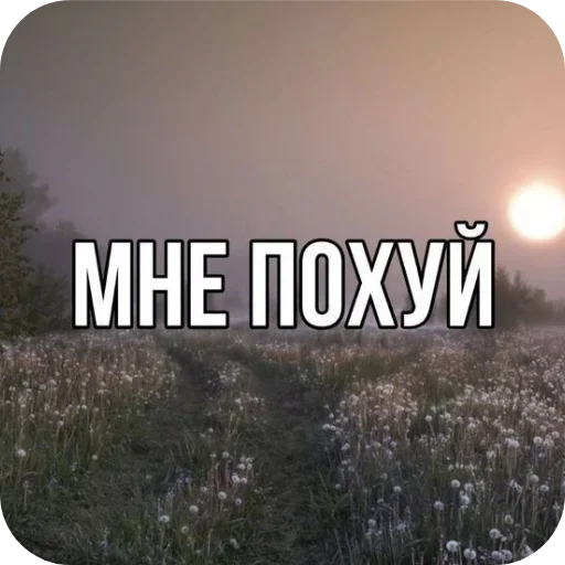 🌌 Стикер «Лесные летние мемы» для Telegram