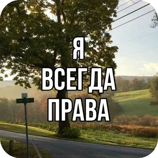 🏗 Стикер «Лесные летние мемы» для Telegram
