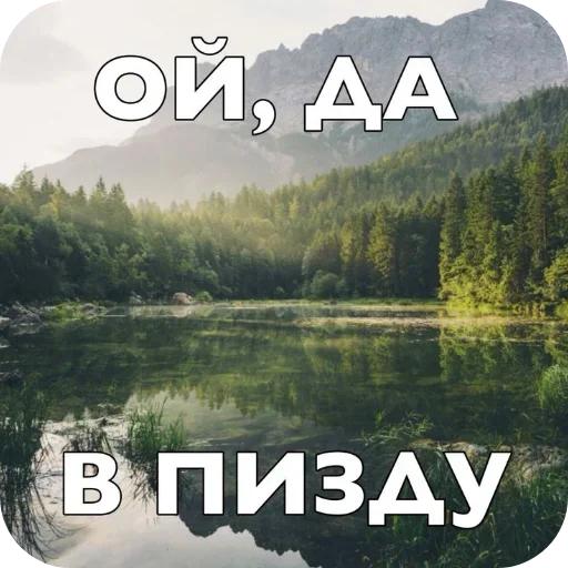 🖼 Стикер «Лесные летние мемы» для Telegram