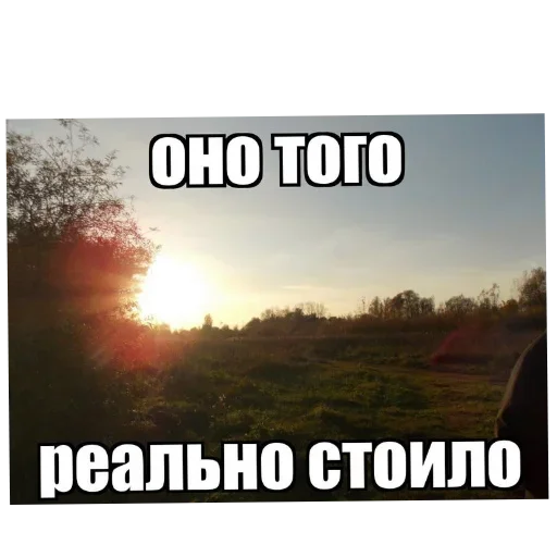🌌 Стикер «Лесные летние мемы» для Telegram