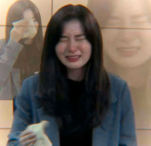 🐻 Стикер «seulgi kang» для Telegram