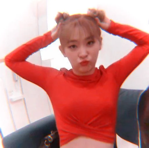 🐻 Стикер «seulgi kang» для Telegram