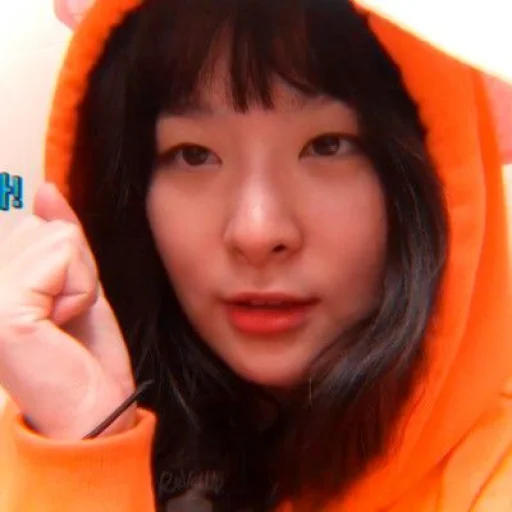🐻 Стикер «seulgi kang» для Telegram