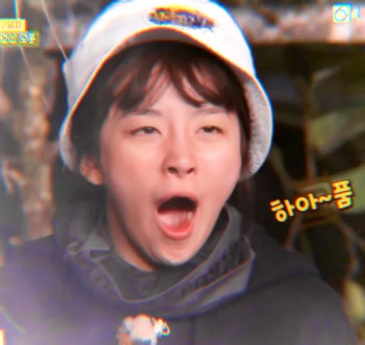 🐻 Стикер «seulgi kang» для Telegram