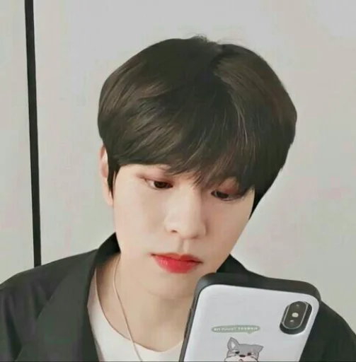 🐶 Стикер «seungmo» для Telegram
