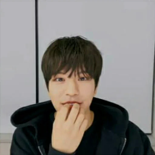 🐶 Стикер «seungmo» для Telegram