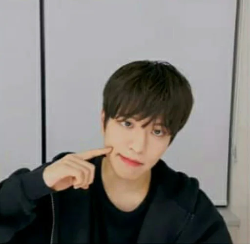 🐶 Стикер «seungmo» для Telegram