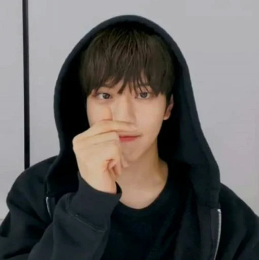 🐶 Стикер «seungmo» для Telegram