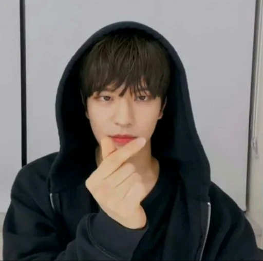 🐶 Стикер «seungmo» для Telegram
