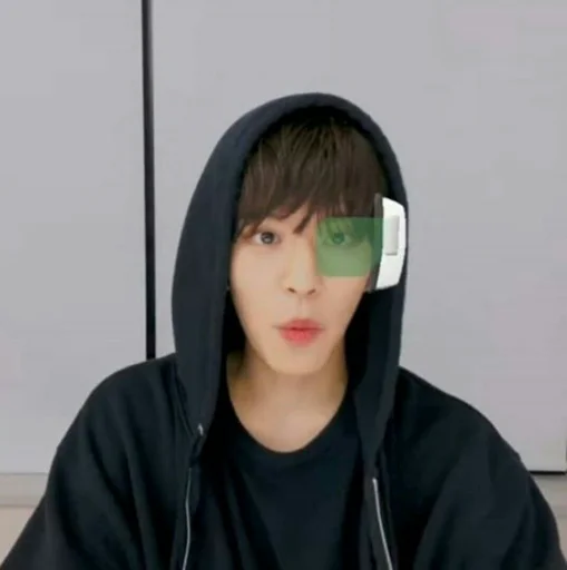 🐶 Стикер «seungmo» для Telegram