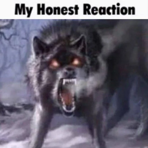 🤬 Стикер «мир альф» для Telegram