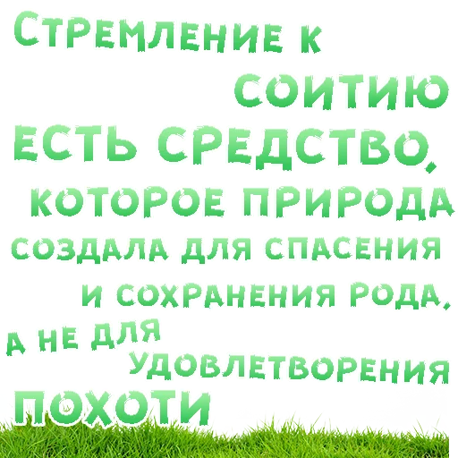 😍 Стикер «SEX in The CITY» для Telegram