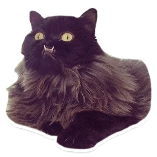 😤 Стикер «Sexy Animals» для Telegram