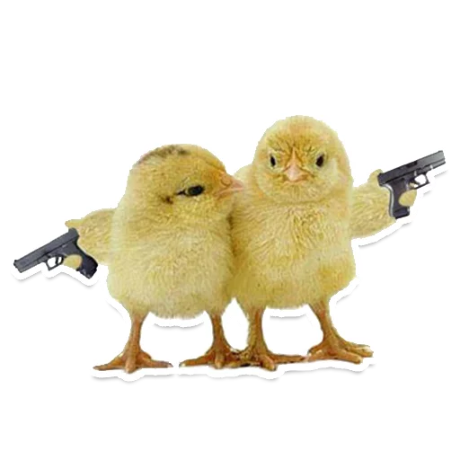 🐥 Стикер «Sexy Animals» для Telegram
