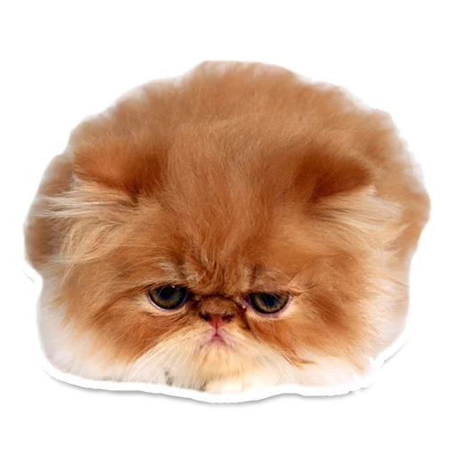 😾 Стикер «Sexy Animals» для Telegram
