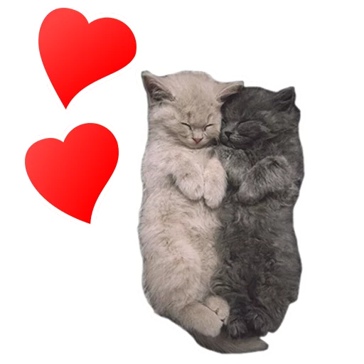 💕 Стикер «Sexy Animals» для Telegram