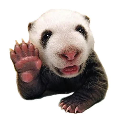 ✋ Стикер «Sexy Animals» для Telegram