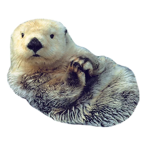 😏 Стикер «Sexy Animals» для Telegram