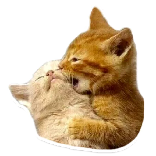 😘 Стикер «Sexy Animals» для Telegram