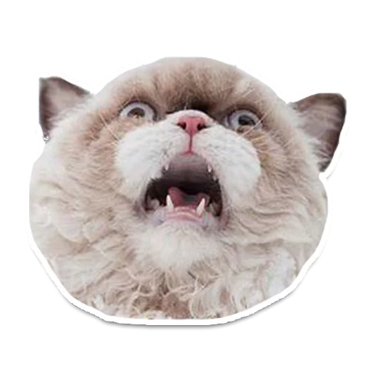 😧 Стикер «Sexy Animals» для Telegram