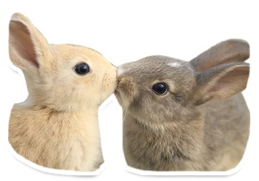 💏 Стикер «Sexy Animals» для Telegram