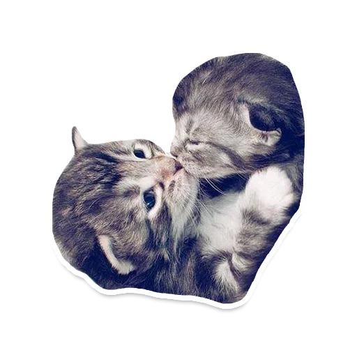 💏 Стикер «Sexy Animals» для Telegram