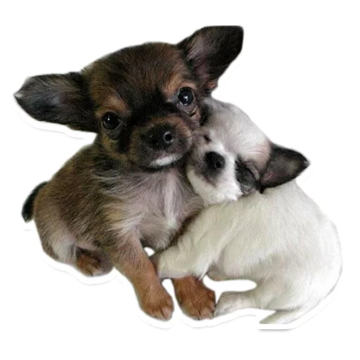 😍 Стикер «Sexy Animals» для Telegram