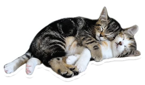 💛 Стикер «Sexy Animals» для Telegram