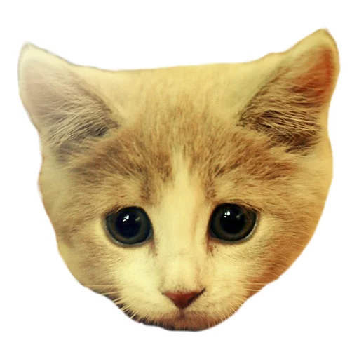 👏 Стикер «Sexy Animals» для Telegram