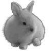 Стикер 22 Sexy Bw